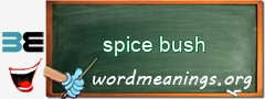 WordMeaning blackboard for spice bush